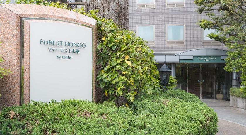 Forest Hongo — Fotos 2